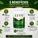LEVV