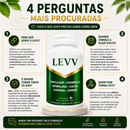 LEVV